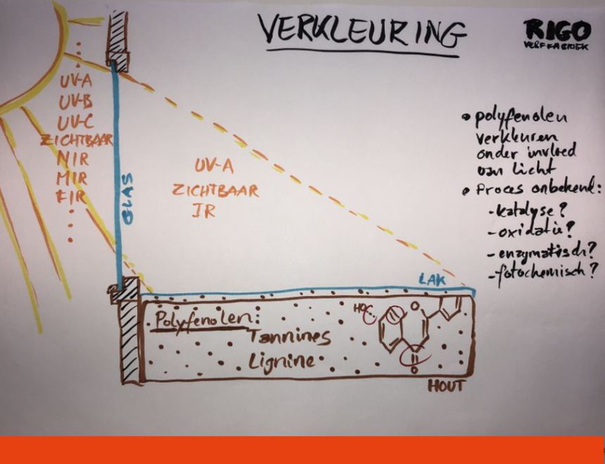 Hersenbrekende wetenswaardigheden parket