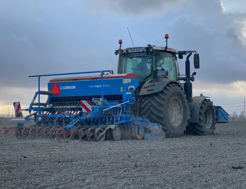Paint farmers sow linseed