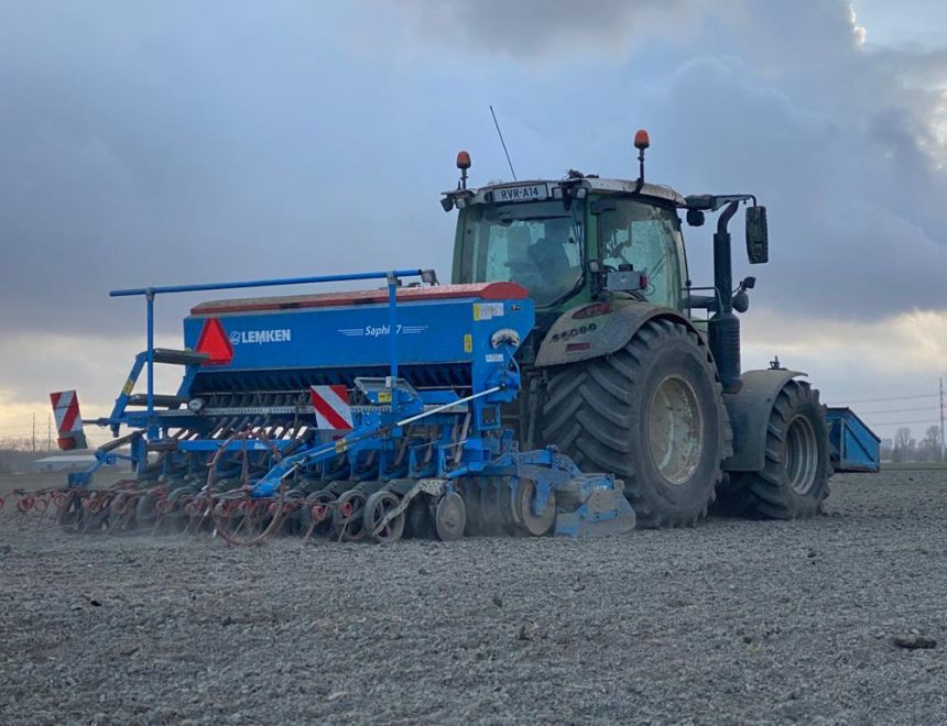 Verfboeren zaaien olievlas